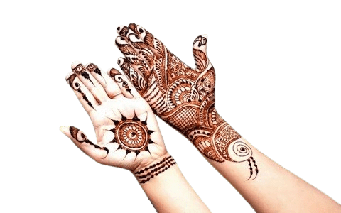 What is the meaning of Mehndi Designs art?