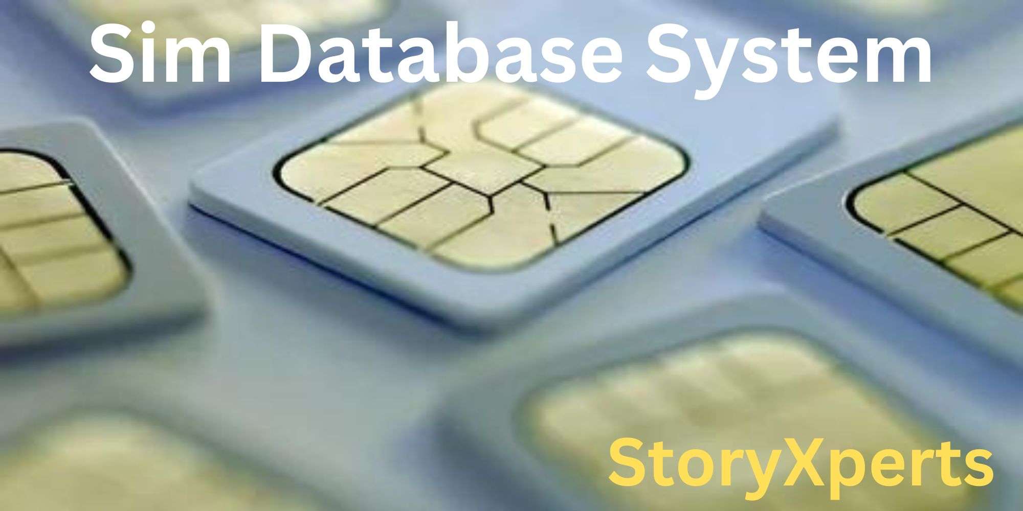 What is database SIM? And Explain Sim Tracker Working